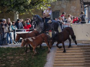 Marcilla Turismo, Nuestras ferias