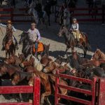 Marcilla Turismo, Nuestras ferias