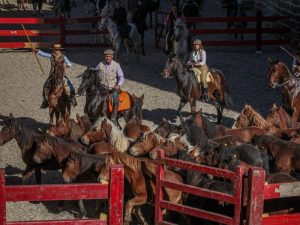 Marcilla Turismo, Nuestras ferias