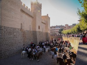 Marcilla Turismo, Nuestras ferias
