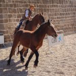 Marcilla Turismo, Nuestras ferias