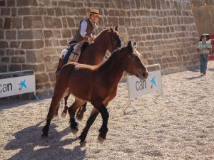 Marcilla Turismo, Nuestras ferias