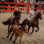 Marcilla Turismo, Nuestras ferias