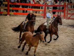 Marcilla Turismo, Nuestras ferias